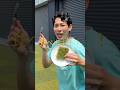 世界初!?食べて消える人工芝が誕生しました#shorts