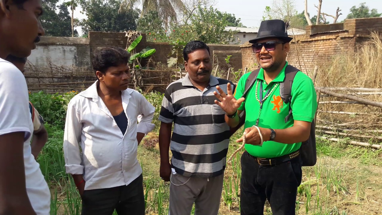  Snake rescue team Panchet dam