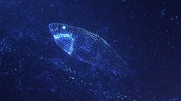 Trapcode Form - Particle life