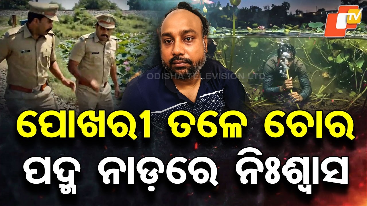 Special Story: Thief Hides Underwater for 5 Hours Using Lotus Stem to Breathe!