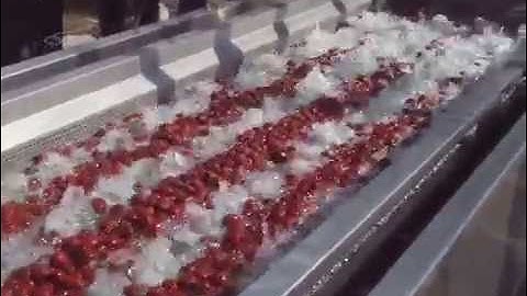 Dates|Fruit|Vegetable Washing Cleaning and Drying Machine