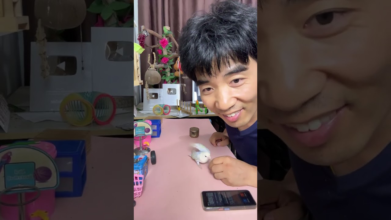 直播精彩集锦