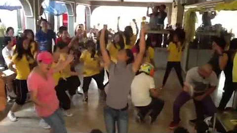 Harlem shake (cover)