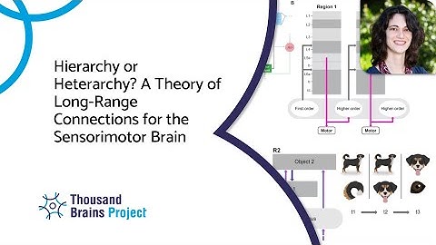 2025/07 - Hierarchy or Heterarchy? A Theory of Long-Range Connections for the Sensorimotor Brain