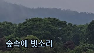 [ASMR]10시간/고향 집에서 바라본  숲에 내리는 반가운  봄 비 빗소리  #빗소리 #백색소음 #숲#봄비