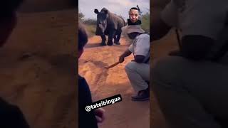 Rhino Vs Man