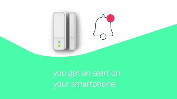 Hive Window or Door Sensor