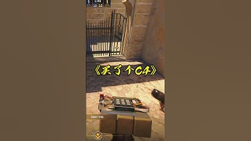 《你可以把包下载这嘛》《可以》 #cs2 #csgo #分享cs离谱操作