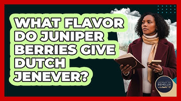 What Flavor Do Juniper Berries Give Dutch Jenever?