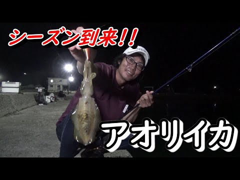 ひらまさ 商品詳細