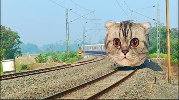 Funny CAT Headed Pink ICF Local Train Passing Beautiful At Curved