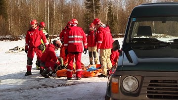 Faultland - INN newsflash 3 Estonia -  ModexFalck