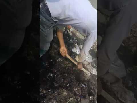 Kacra Sahf