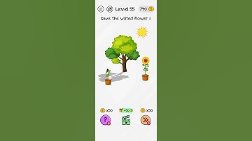 Braindom Level 55 (Save The Wilted Flower) Solution