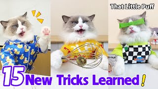 15 New Tricks Learned That Little Puff