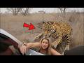 The most dangerous encounters with wildlife recorded in nature | You Won’t Believe This