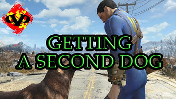 Fallout 4 | How to Get a Second Dog