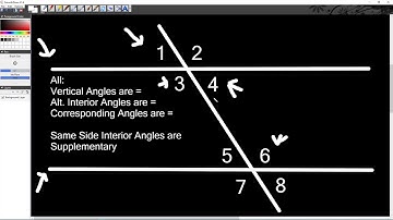 Angles Within Parallel Lines Summarized
