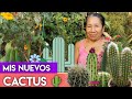 CONOCE MIS NUEVOS CACTUS - Tour por mi jardín de cactus