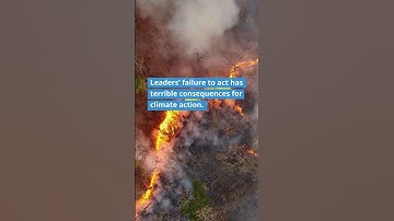 Corruption Perceptions Index 2024 | Transparency International