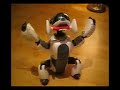 Sony Aibo... Best Bits