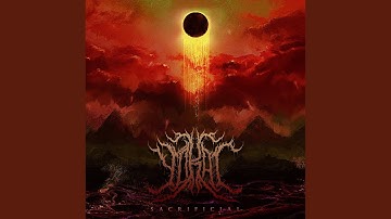 Absence of Light (feat. Jalen Wallace)