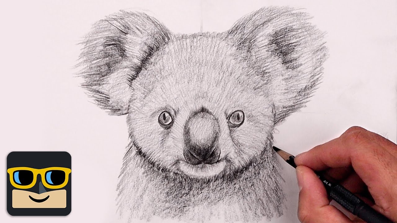 How To Draw a Koala  Sketch Tutorial 