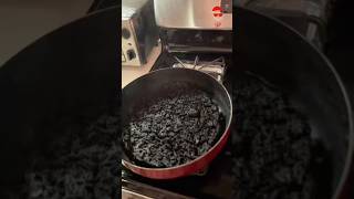 Download Lagu Verbrande spaghettisaus. 🍝🔥😮#westvlams #humor #voorjepagina #fyp #blufgemotiveerdmegeert MP3