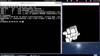 Example how CRIU can dump and restore a TCP connections v2
