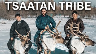 видео: ОЛЕНЬЕЛЮДИ - Племя Цаатан, живущее с оленями при температуре -50°. картинка: ОЛЕНЬЕЛЮДИ - Племя Цаатан, живущее с оленями при температуре -50°.