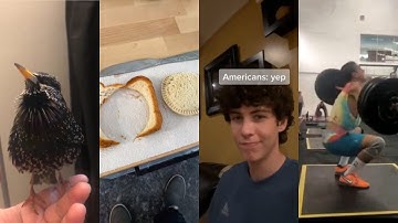 THE MOST UPVOTED VIDEOS FROM REDDIT V24