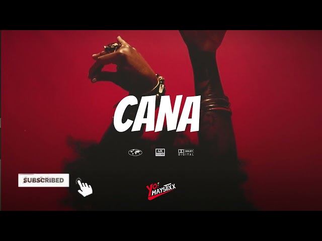 (FREE) Ruger x Seyi Vibez x Omah lay Type Beat CANA | Emotional Afrobeat Instrumental 2023 class=