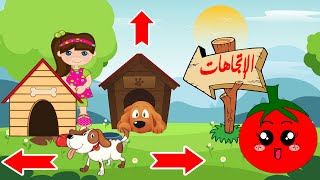 الاتجاهات تعليم الأطفال الاتجهات فوق تحت يمين يسار أمام خلف جانب باللغة العربية