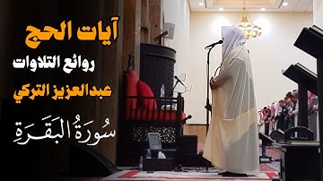 "الحَجُّ أشهُر معلُومَات" من روائع التلاوات للشيخ عبدالعزيز التركي لآيات الحج | سورة البقرة