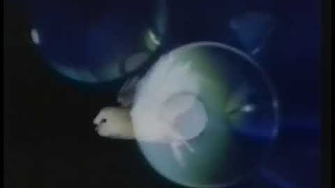 Infocom - BBC Micro Live 1985