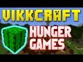 Minecraft Hunger Games #324 &quot;CACTUS IS OP!&quot; with Vikkstar