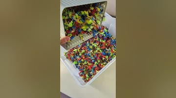 Day 4 of 6 printing in 12 colors