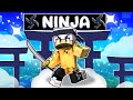 ZEYXON DIVENTA un NINJA su Minecraft