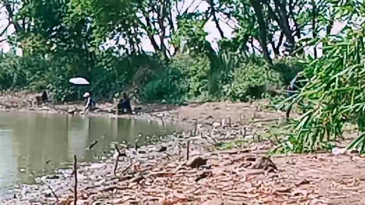 Mancing ikan nila di rawa bacin