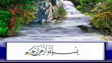 الربع     238/الشيخ محمد جبريل /من سورة البلد الى سورة الضحى