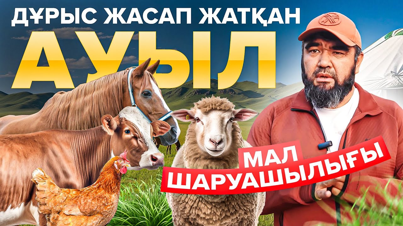 Еуропалық стандартта жасалған ауыл. Мал шаруашылығы