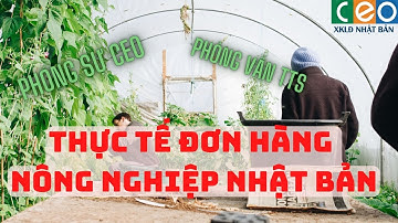 Phỏng Vấn TTS Đơn hàng nông nghiệp Tại Nhật Bản