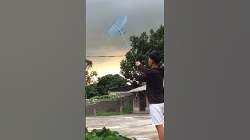 Diều sáo mini 88cm ăn gió nặng | MAIL CV