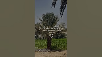 قرآن كريم بصوت الشيخ ياسر الدوسري #قران_كريم #ياسر_الدوسري #قران_كريم_ارح_سمعك_وقلبك #حالات_واتس