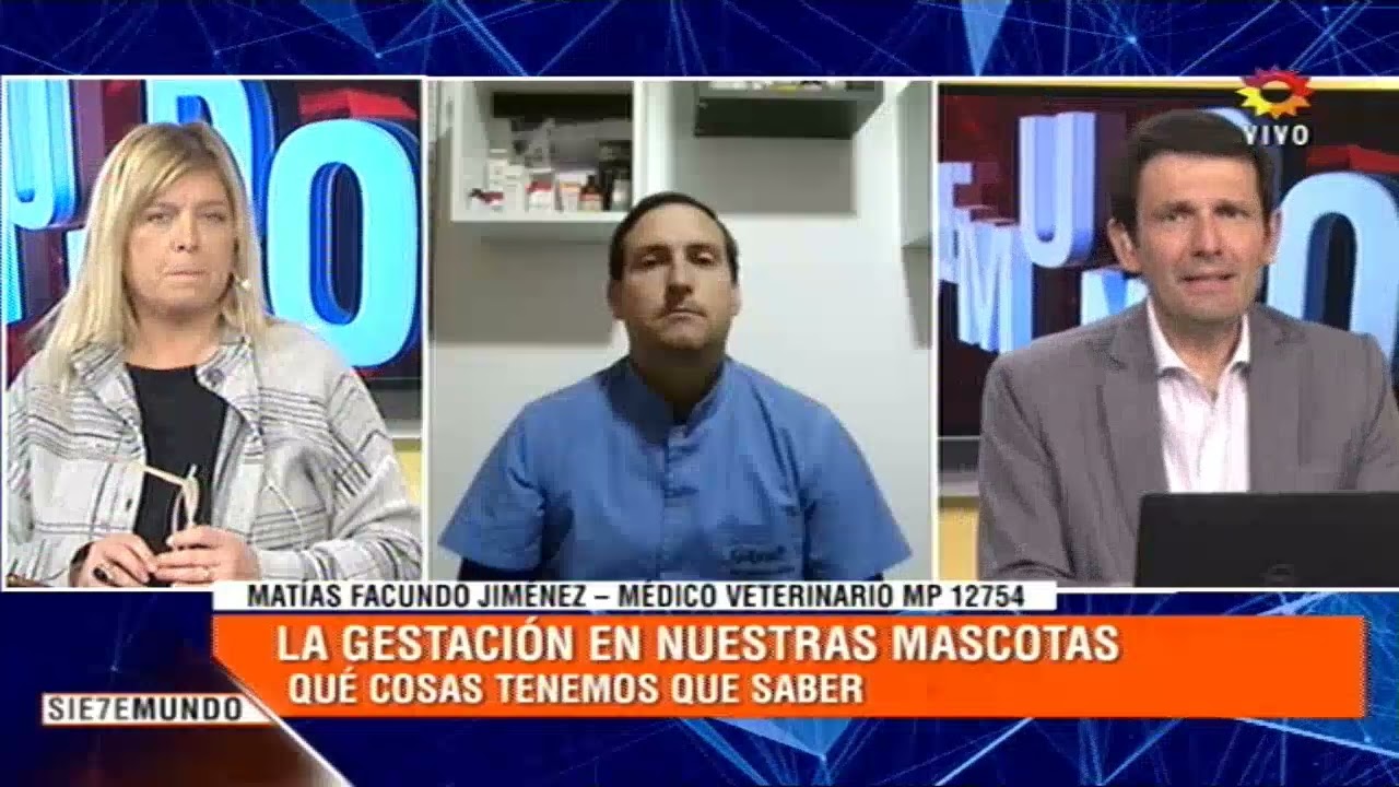Matías Jiménez, veterinario “Lo ideal es que la madre esté desparasitada y vacunada antes de gestar”