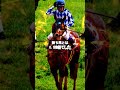 【安田記念2026予想】人気を落としている実績馬が馬券に絡む安田記念!穴馬2頭を厳選!
