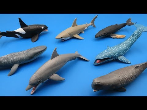 shark and whale toys