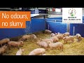 Revolutionary straw bedding concept | Xaletto