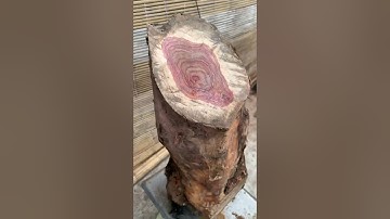 GL cục cẩm chỉ krôngpa đặc tịt rác tươi 24kg kt trong vd vân veo cực víp ạ giá nhẹ nhàng ạ