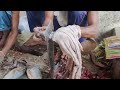 Amazing Cutting Skills Big Pomfret Fish Cutting In Bangladesh | Fish Cutting